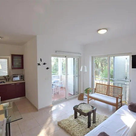 Spacious In With Terrace Apartment