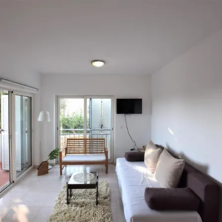 Spacious In With Terrace Apartment