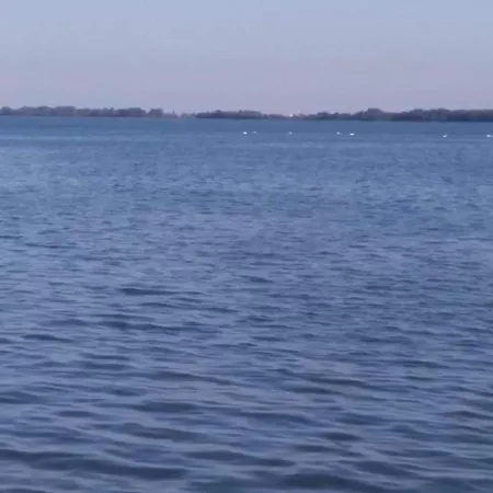 In Near The Sea 만드레